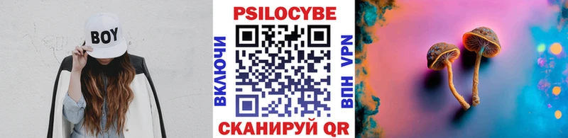Псилоцибиновые грибы мицелий  Большой Камень 